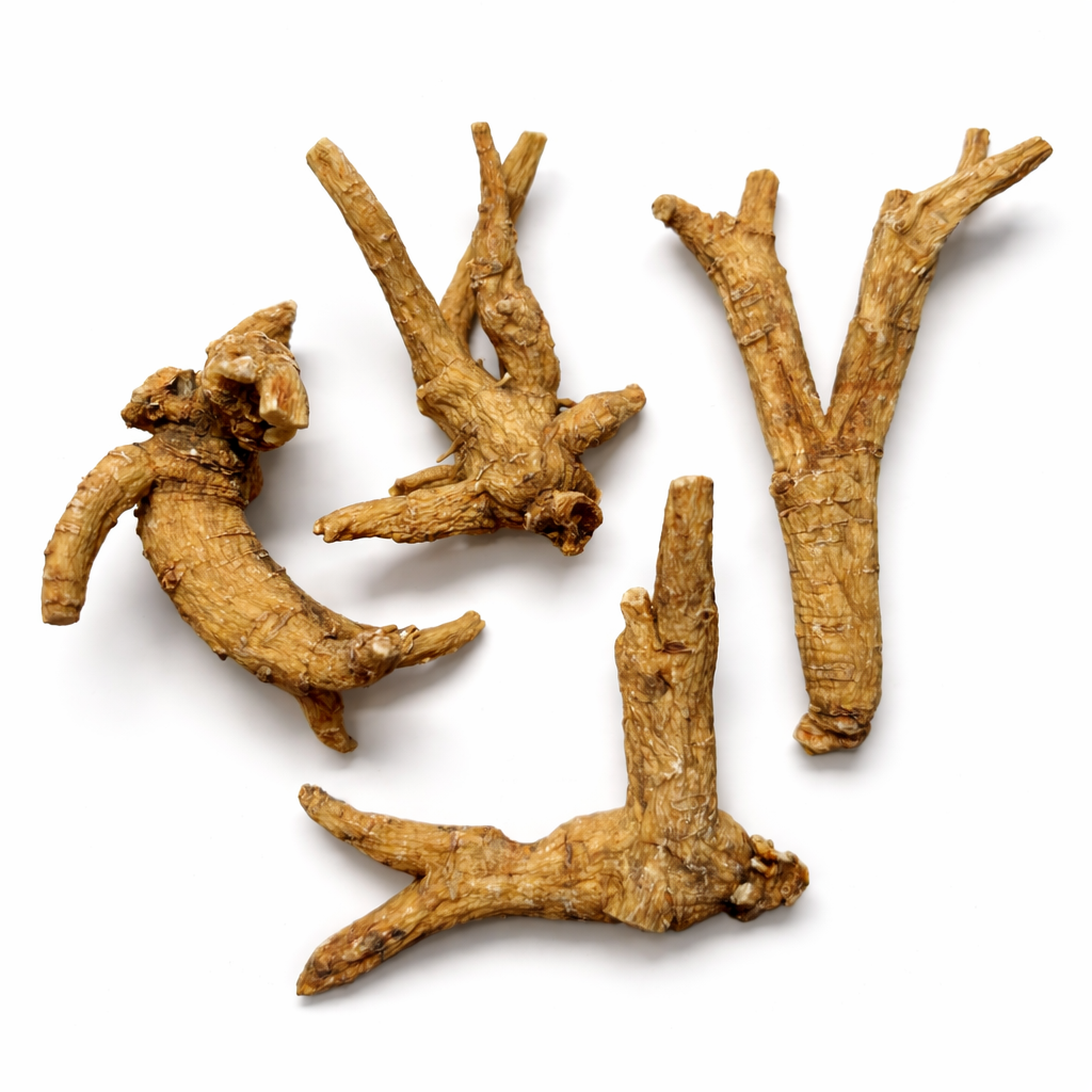 4️⃣ 原枝林下参 （八爪参，俗称“泡酒参”，未修枝）