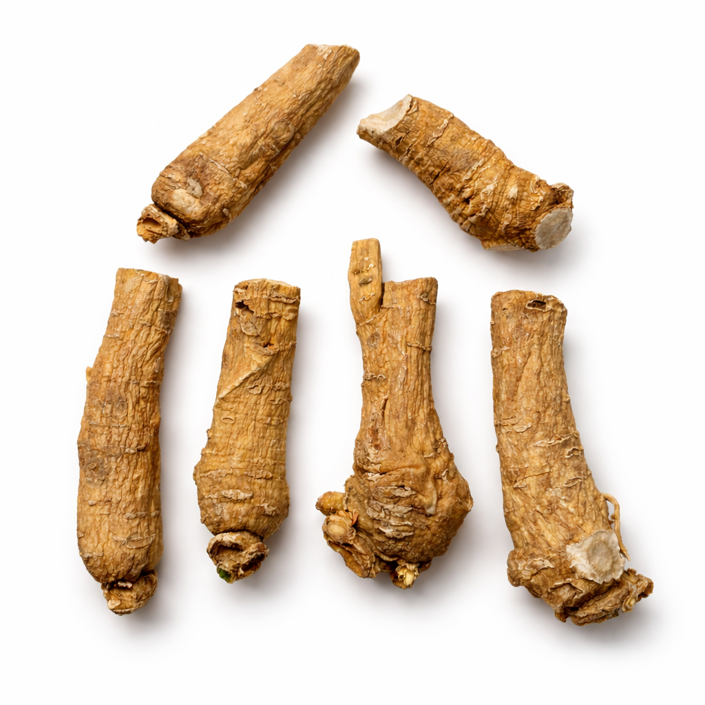 3️⃣ 主干型老林下参（大支林下参）