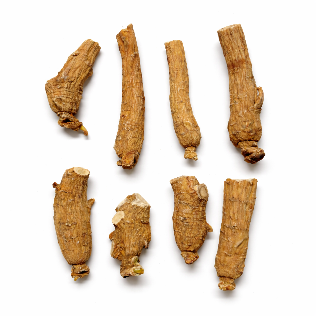 5️⃣ 小支型老林下参（小支林下参）