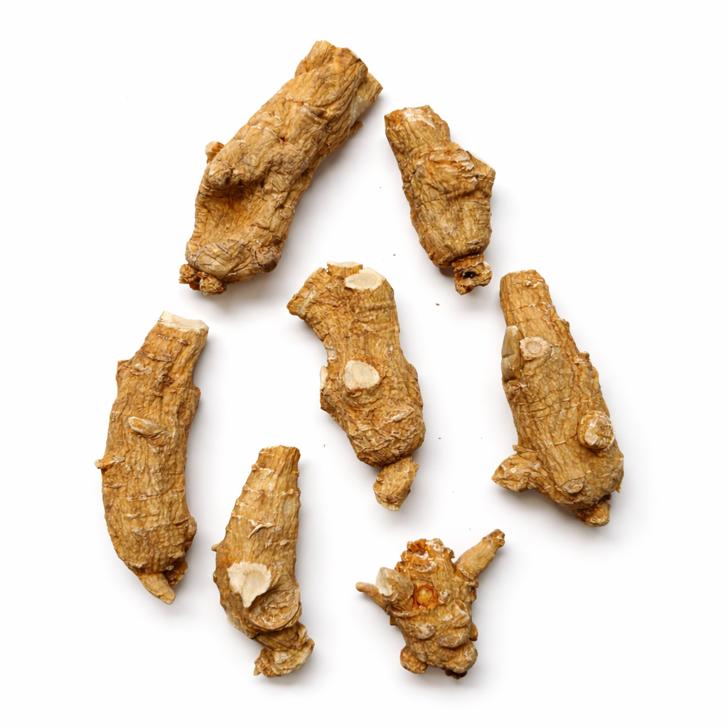 2️⃣ 多节林下参 / 多节点型林下参