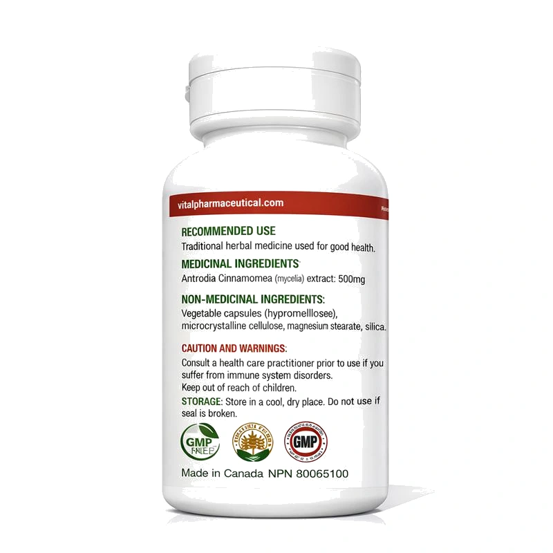 Antrodia Cinnamomea 抗癌解毒王
