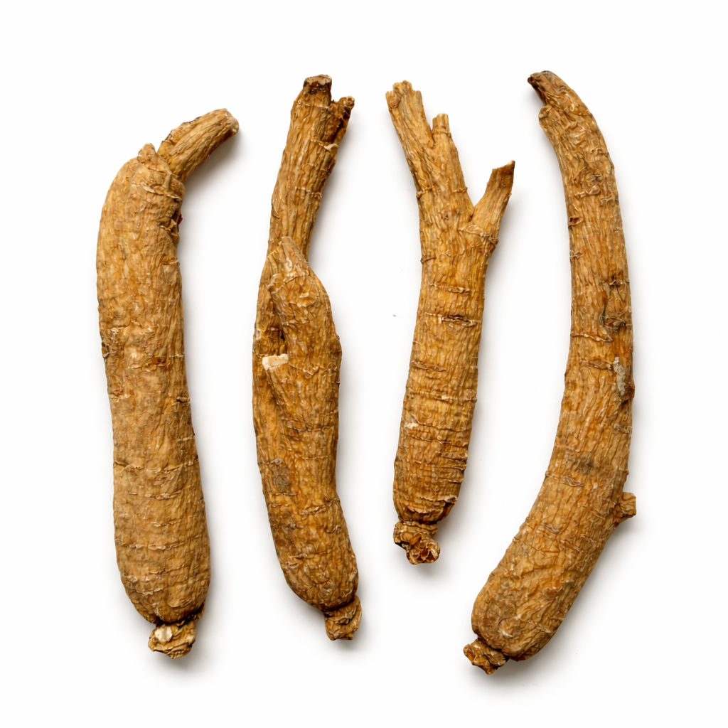 6️⃣ 直参（园参 / 园种西洋参）